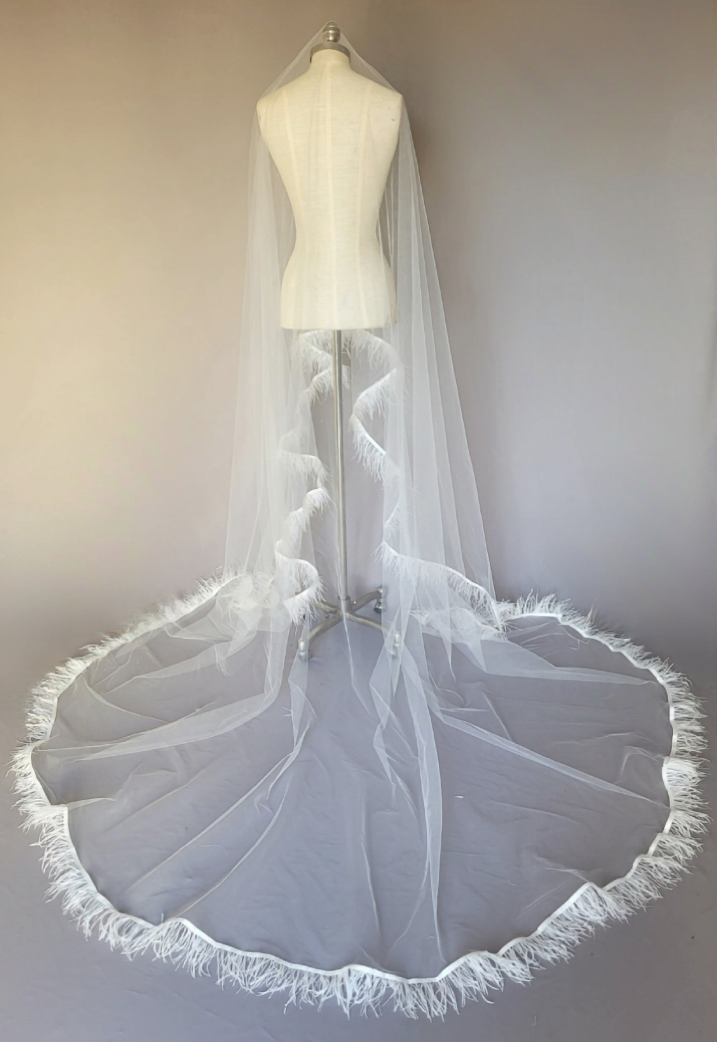 Cleití veil